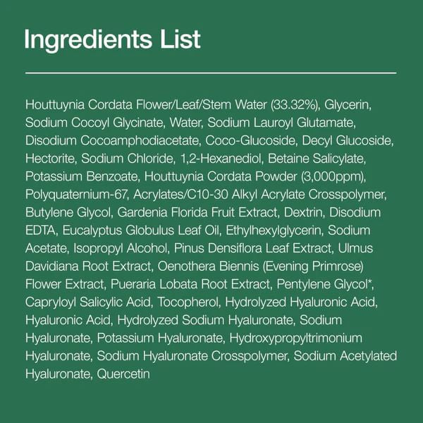 Anua - Heartleaf Quercetinol Pore Deep Cleansing Foam